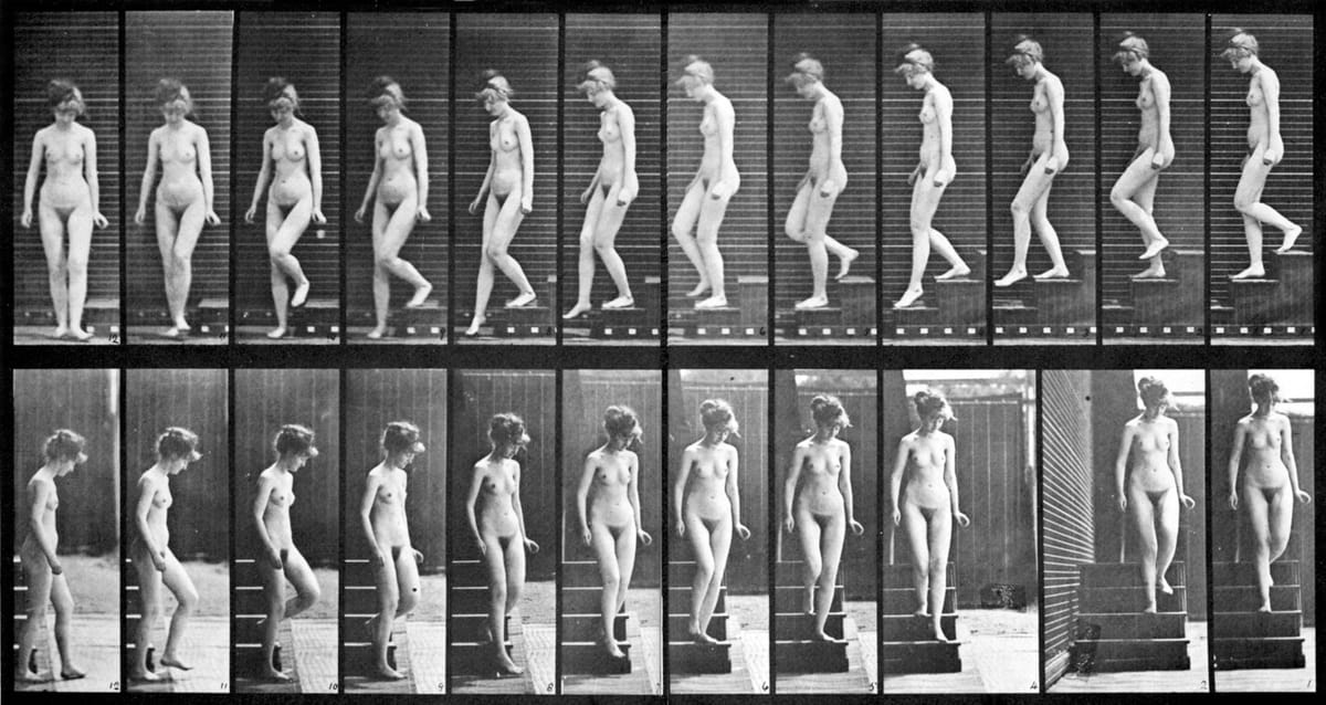 EDWARD MUYBRIDGE