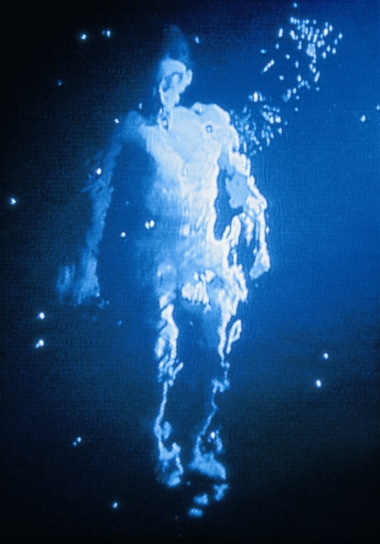 BILL VIOLA