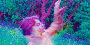 PIPILOTTI RIST