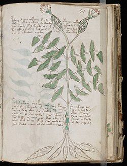 LE MANUSCRIT DE VOYNICH